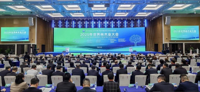 大会640.jpg